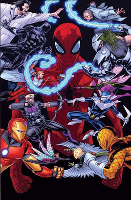 PETER PARKER: SPECTACTULAR SPIDER-MAN #300  1:25 Andy Kubert Variant Cover