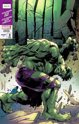 HULK #2 Stephen Segovia Homage Variant Cover