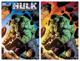 HULK #2 Valerio Giangiordano Variant Cover Set