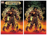 X OF SWORDS: CREATION #1 Kyle Hotz Variant Cover Options