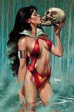 VAMPIRELLA: DARK REFLECTIONS #1 Dan Panosian Virgin Variant LTD To ONLY 500